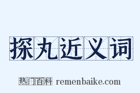 探丸近义词是什么意思的图片